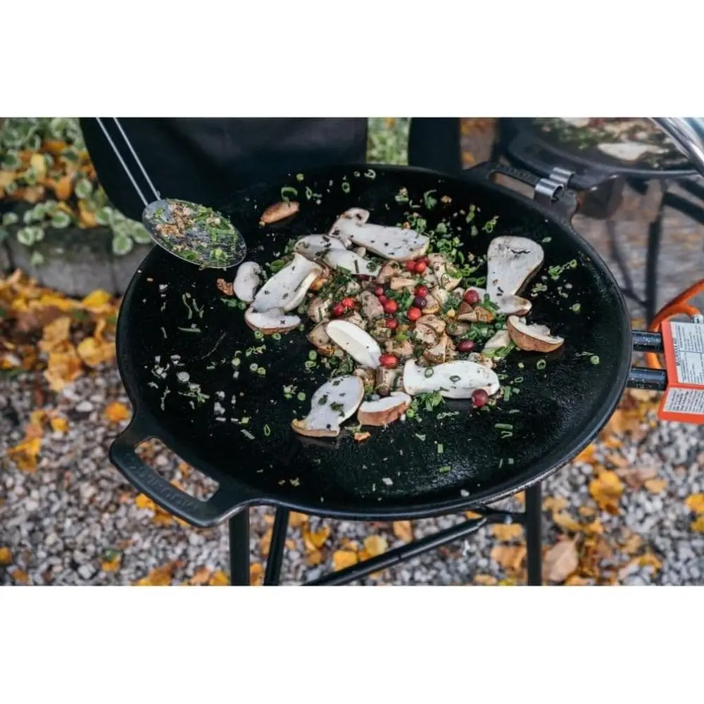 48cm Outdoor Gas Grill with Le - Camping Cooking Open Fire 评论和价格